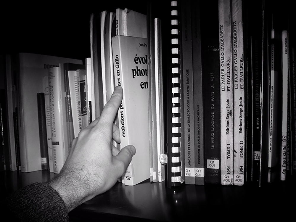 Bibliothèque livres bretons 2